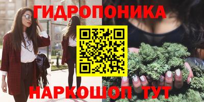 сатива Ачхой-Мартан