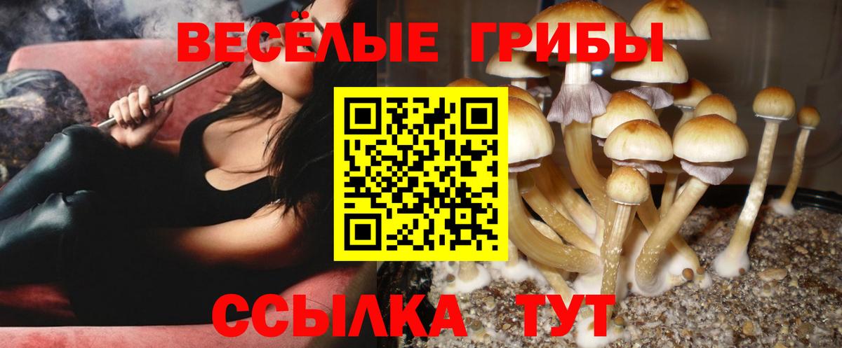Галлюциногенные грибы GOLDEN TEACHER  продажа наркотиков  Ефремов  Вход с VPN 